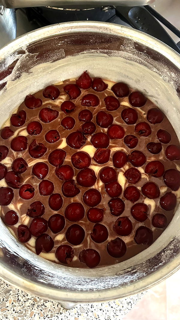 mira.0004 image ~ Altpins