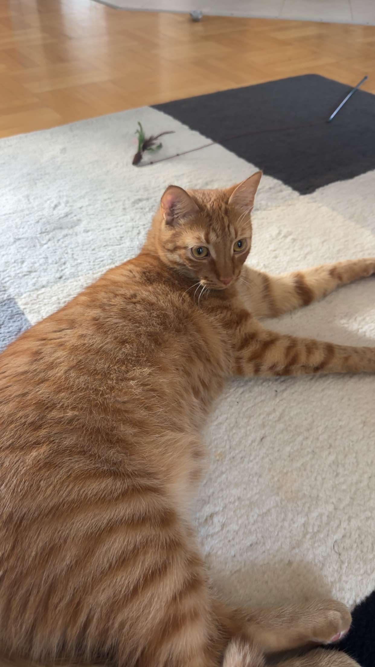 mira.0004 snapchat image archive image