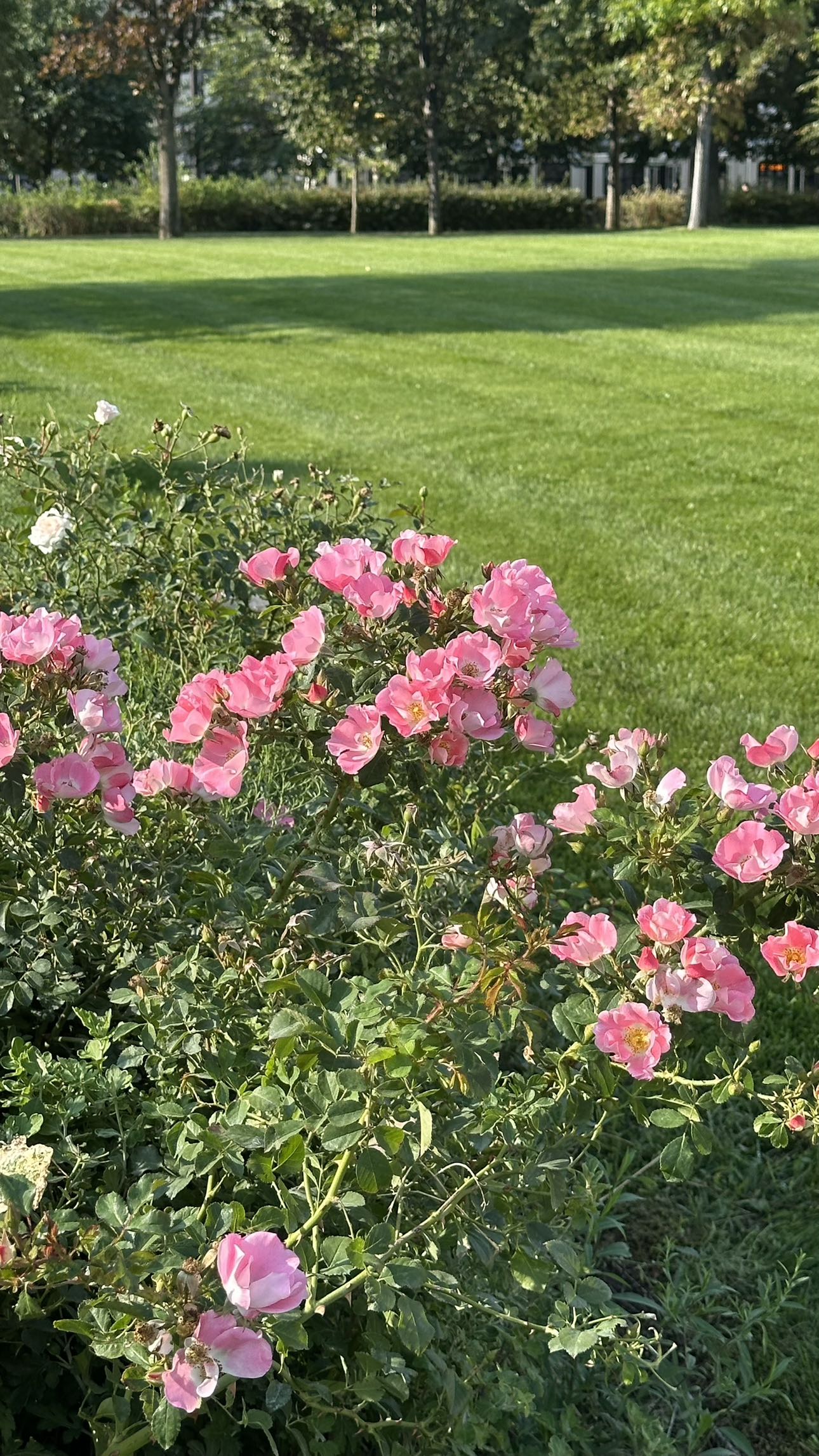 mira.0004 snapchat image archive image