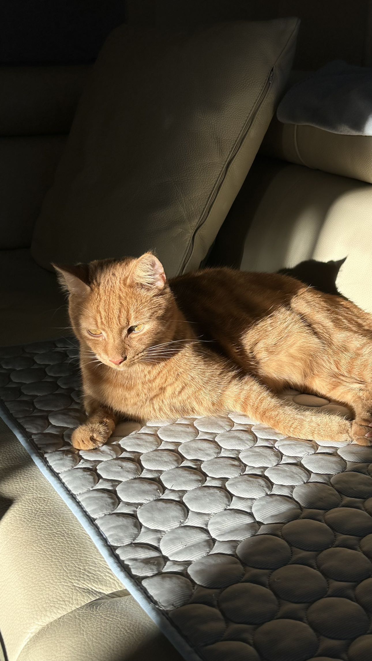 mira.0004 snapchat image archive image