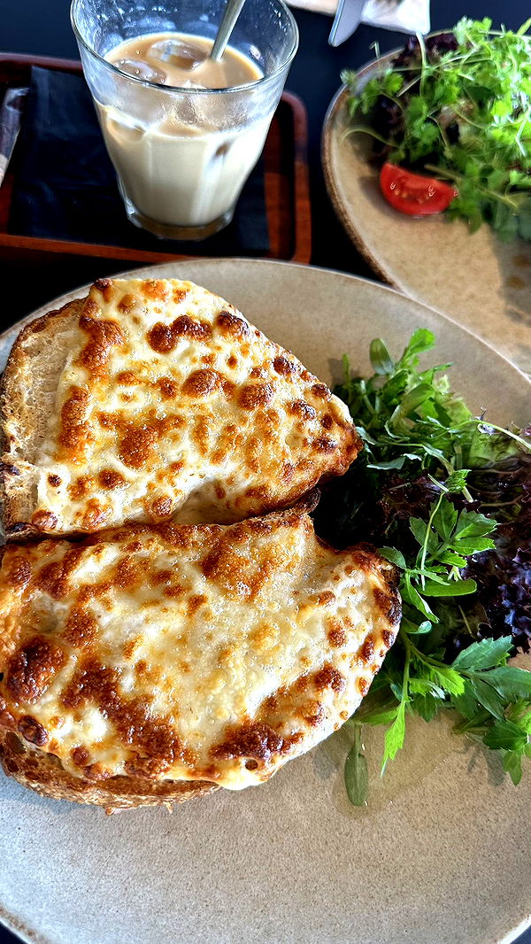 mira.0004 image ~ Altpins