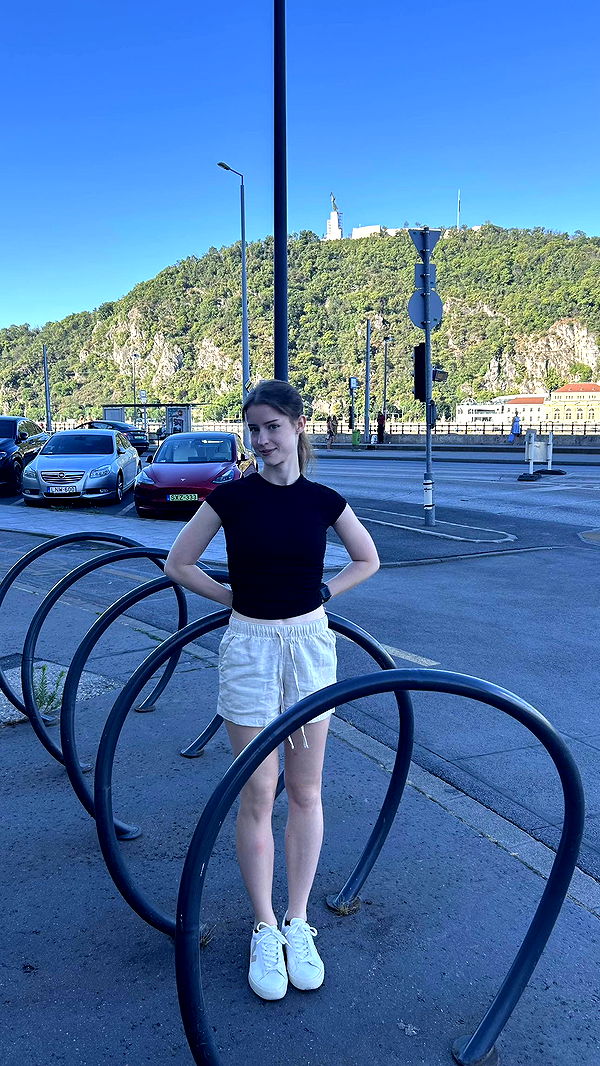 mira.0004 image ~ Altpins