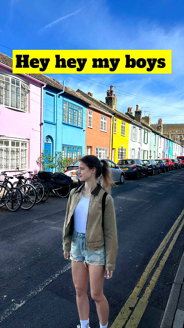 mira.0004 image ~ Altpins