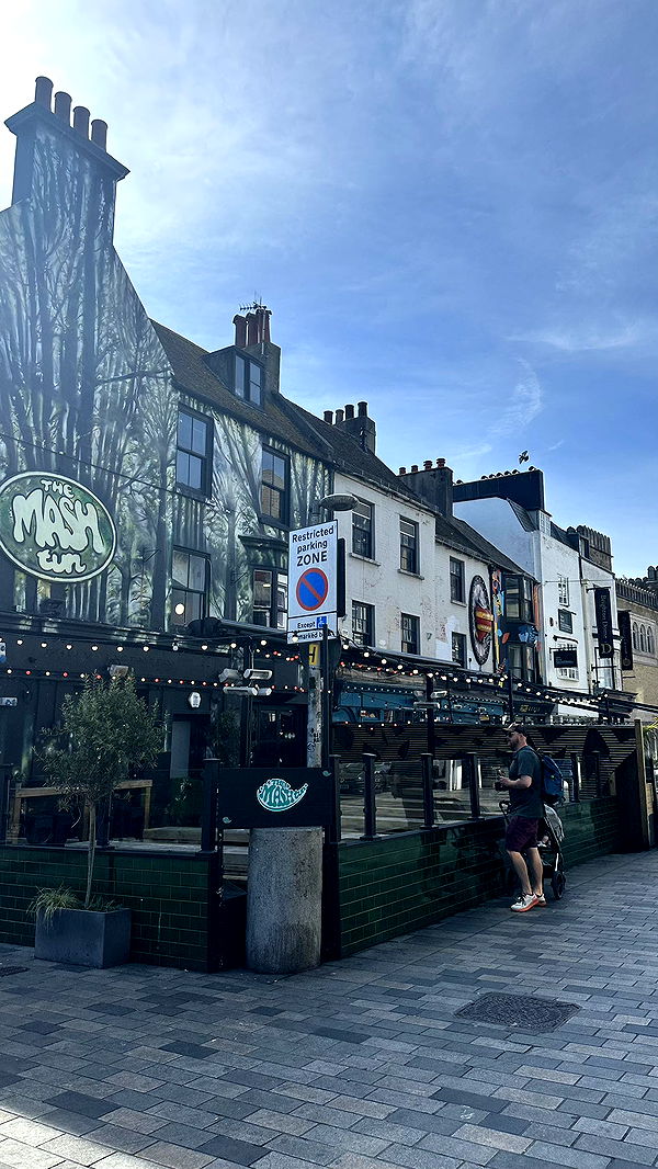 mira.0004 image ~ Altpins