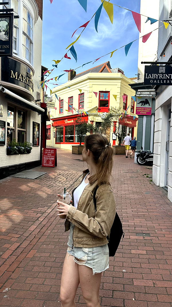 mira.0004 image ~ Altpins