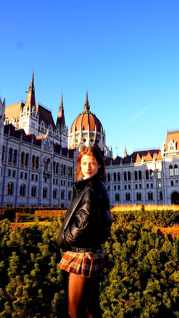 mira.0004 image ~ Altpins