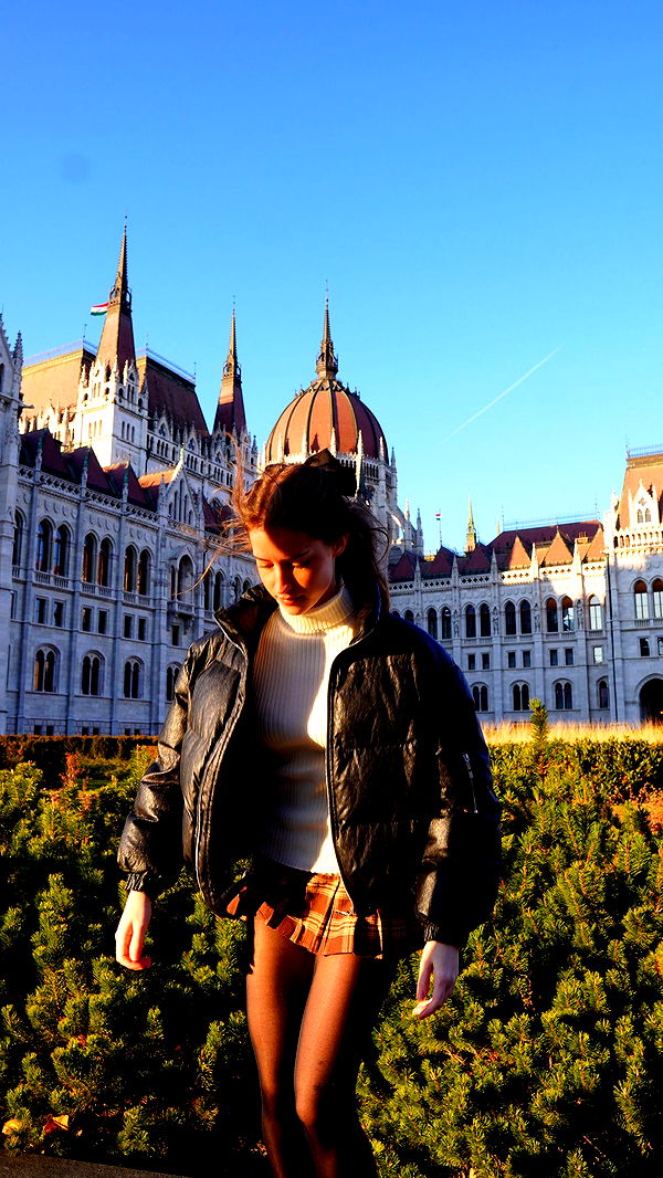 mira.0004 image ~ Altpins