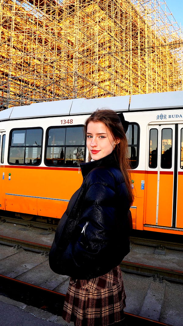 mira.0004 image ~ Altpins