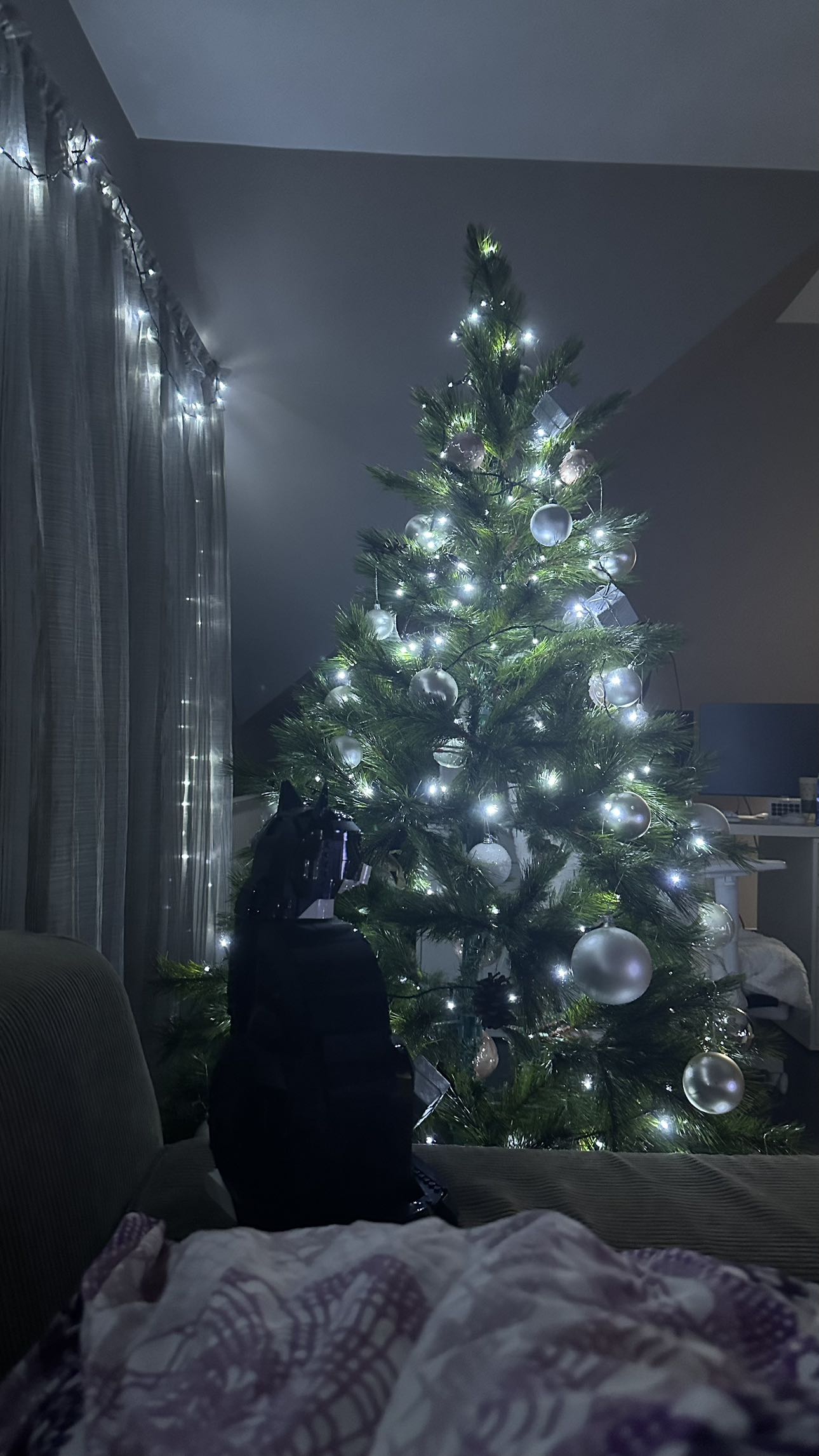 mira.0004 snapchat image archive image