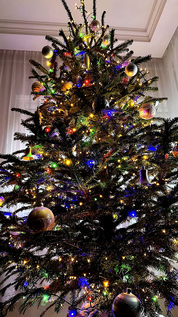 mira.0004 image ~ Altpins