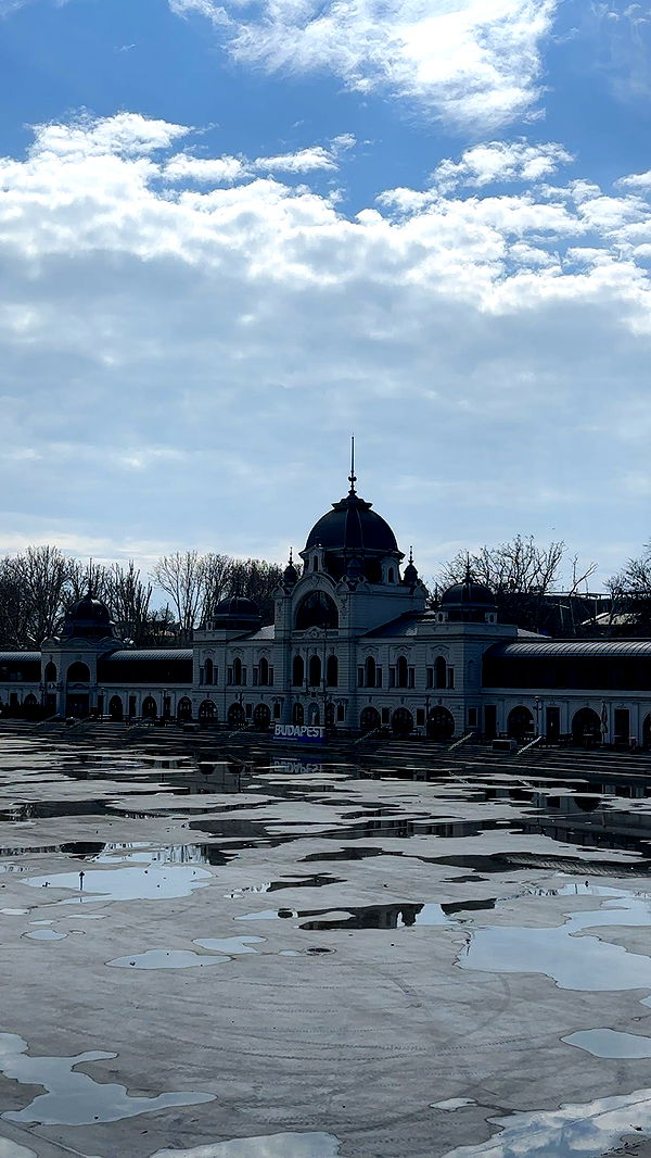 mira.0004 image ~ Altpins