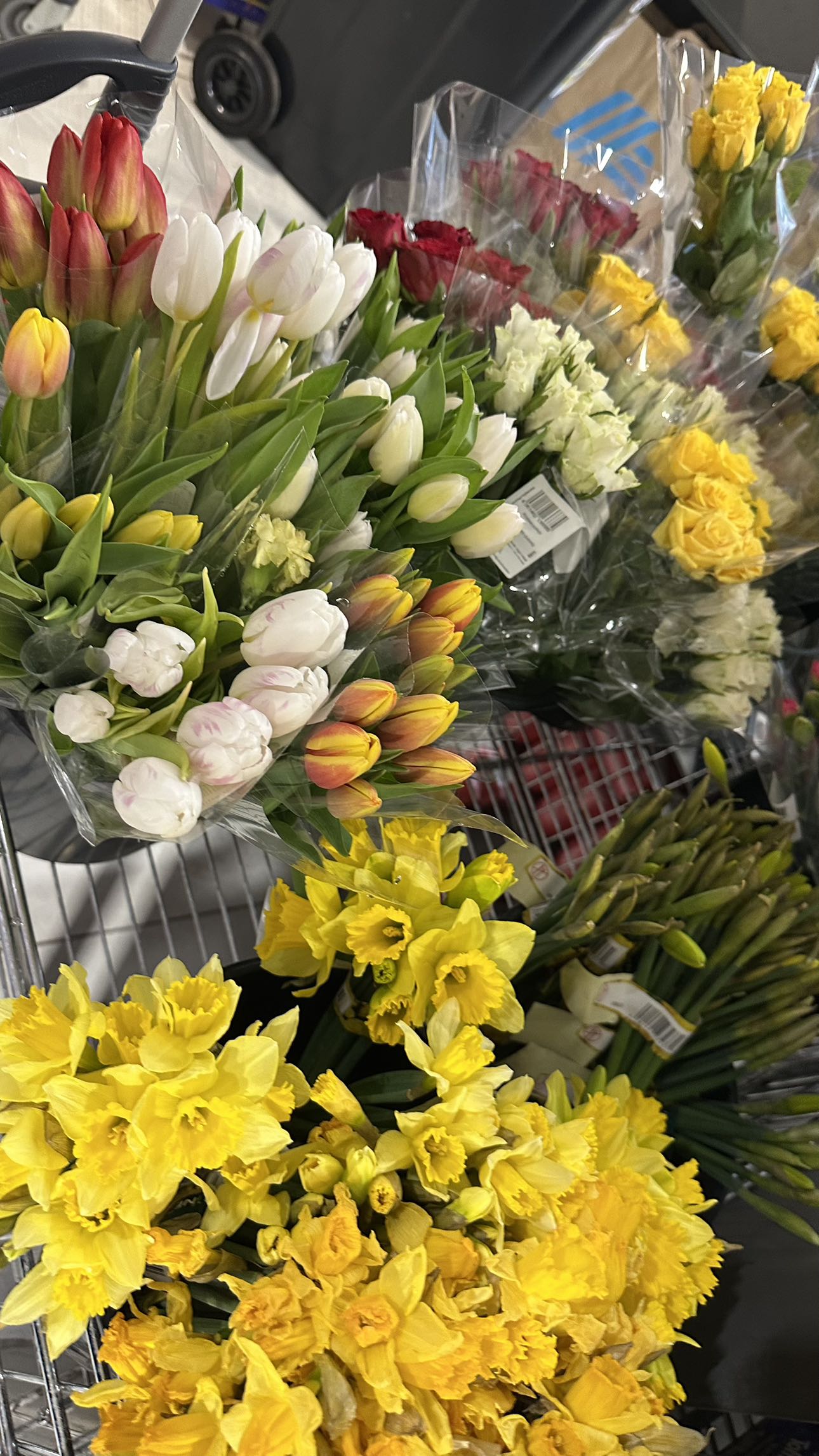 mira.0004 snapchat image archive image