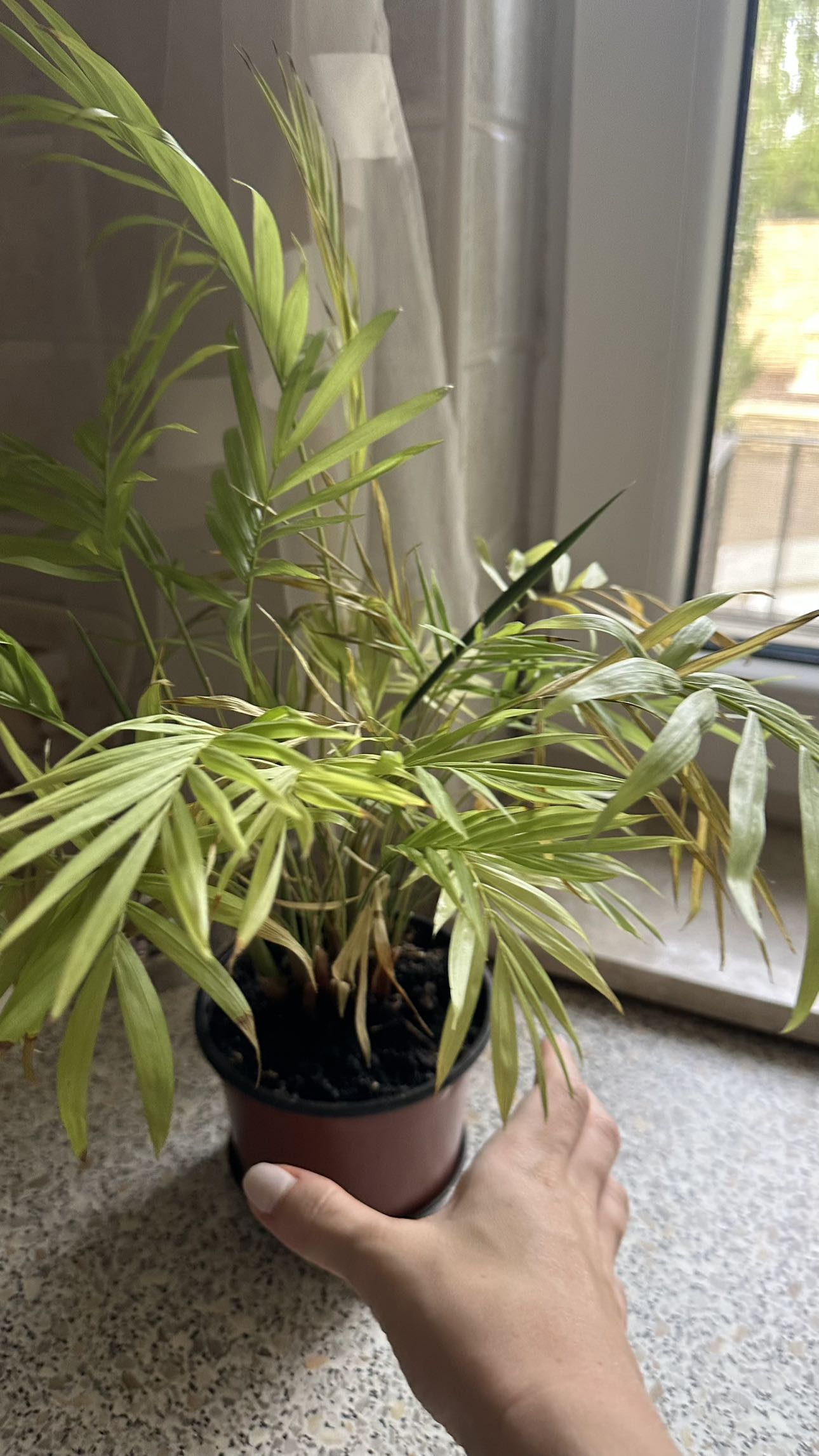 mira.0004 snapchat image archive image