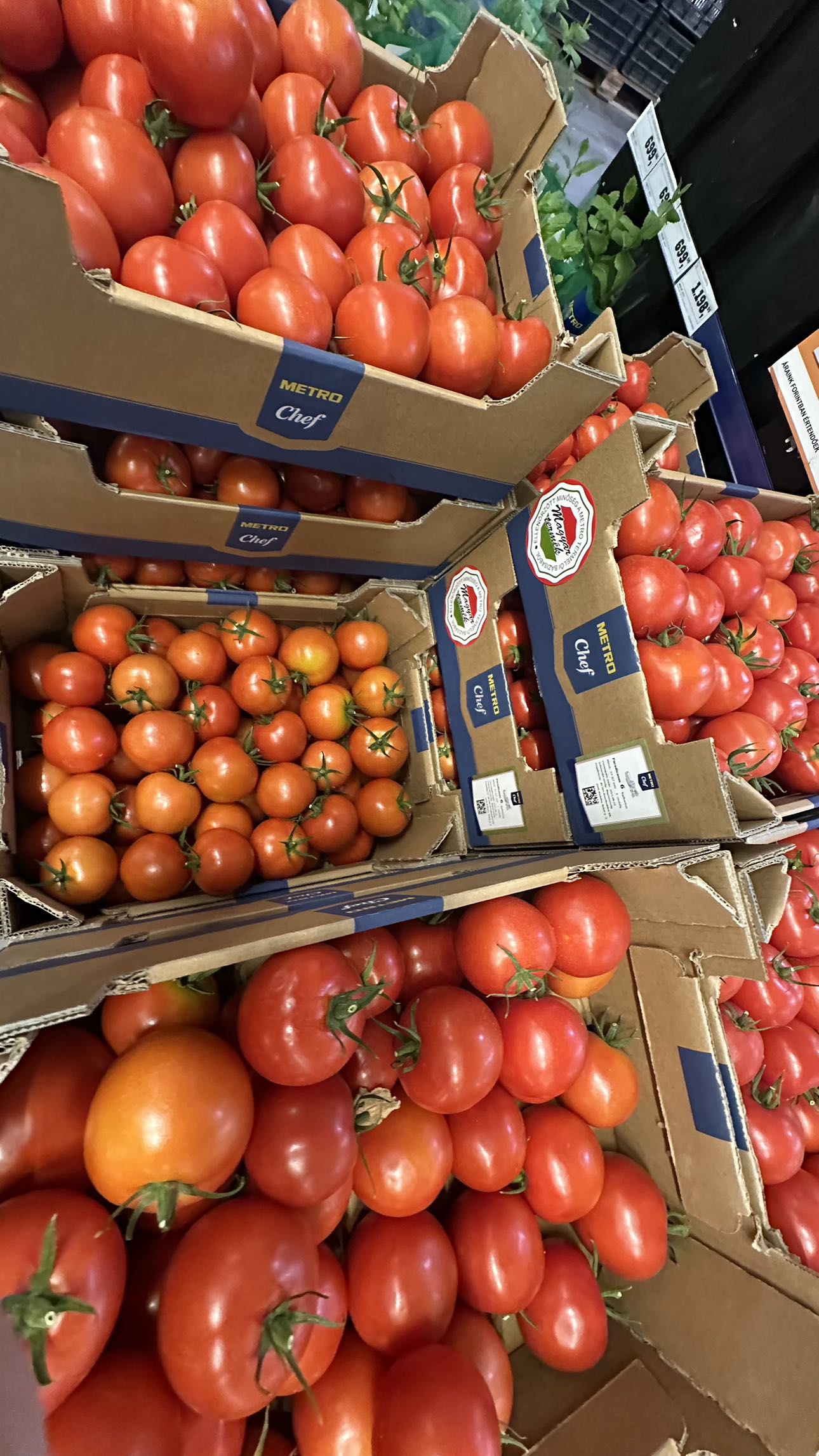 mira.0004 snapchat image archive image