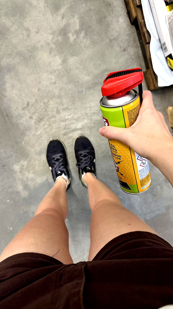 mira.0004 image ~ Altpins