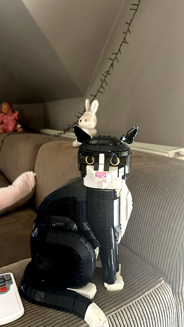 mira.0004 image ~ Altpins