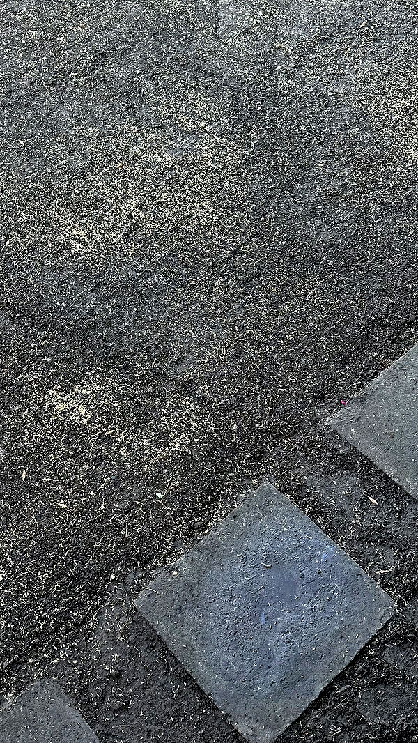 mira.0004 image ~ Altpins