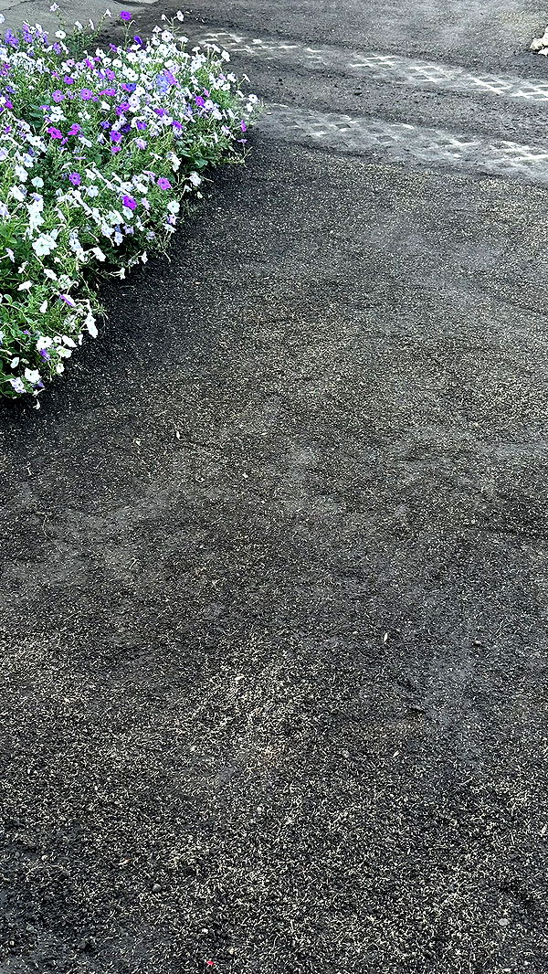 mira.0004 image ~ Altpins