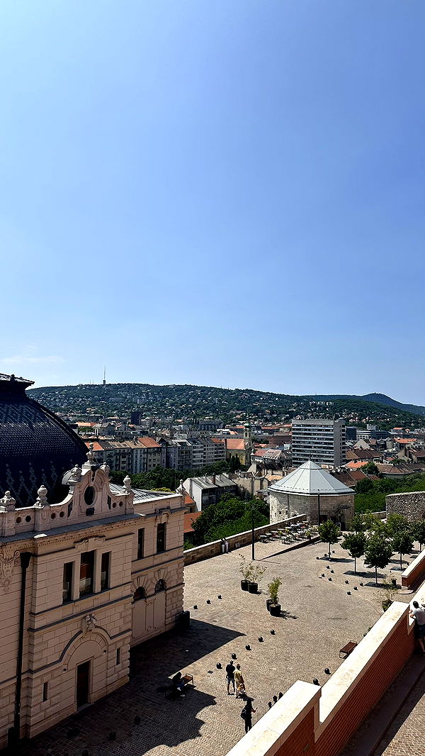 mira.0004 image ~ Altpins