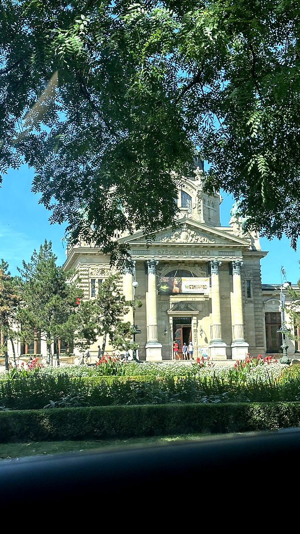 mira.0004 image ~ Altpins