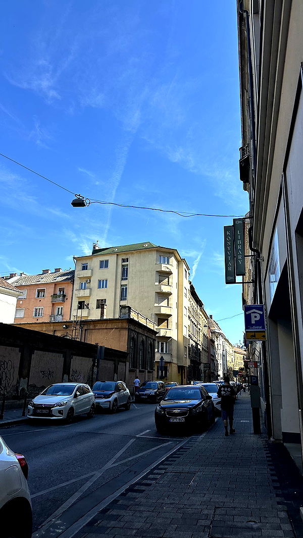 mira.0004 image ~ Altpins