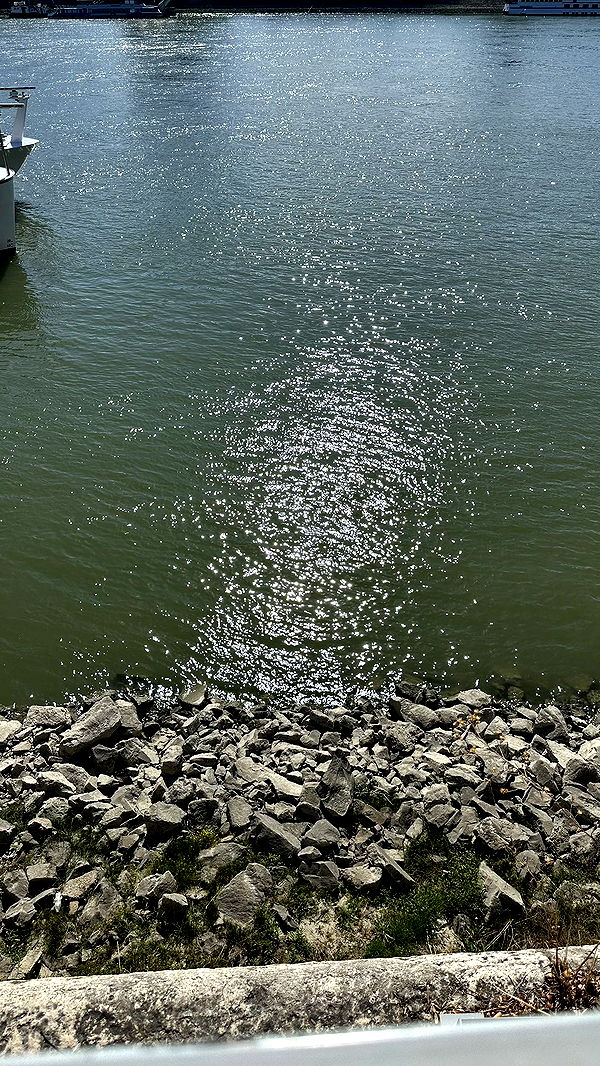 mira.0004 image ~ Altpins