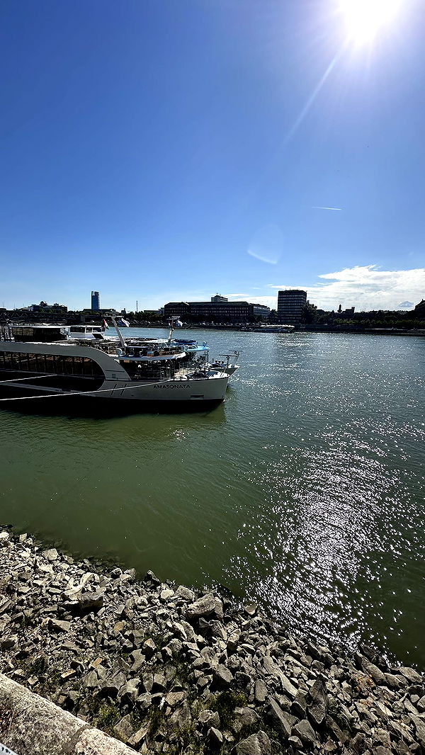 mira.0004 image ~ Altpins