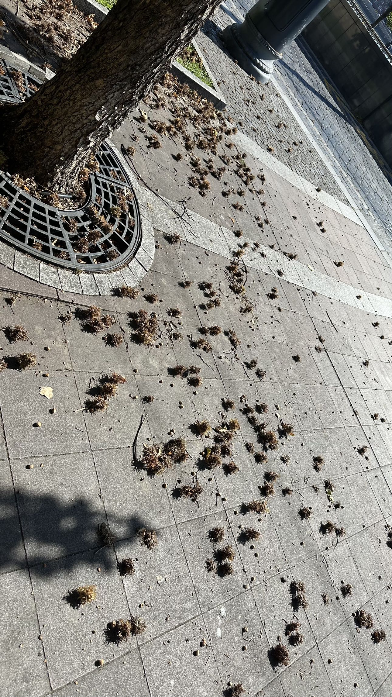 mira.0004 snapchat image archive image