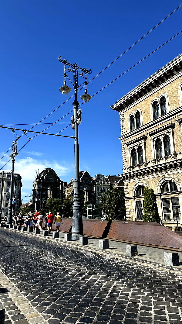 mira.0004 image ~ Altpins