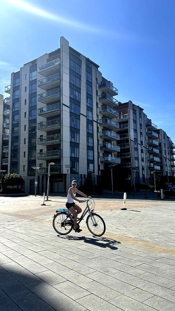 mira.0004 image ~ Altpins