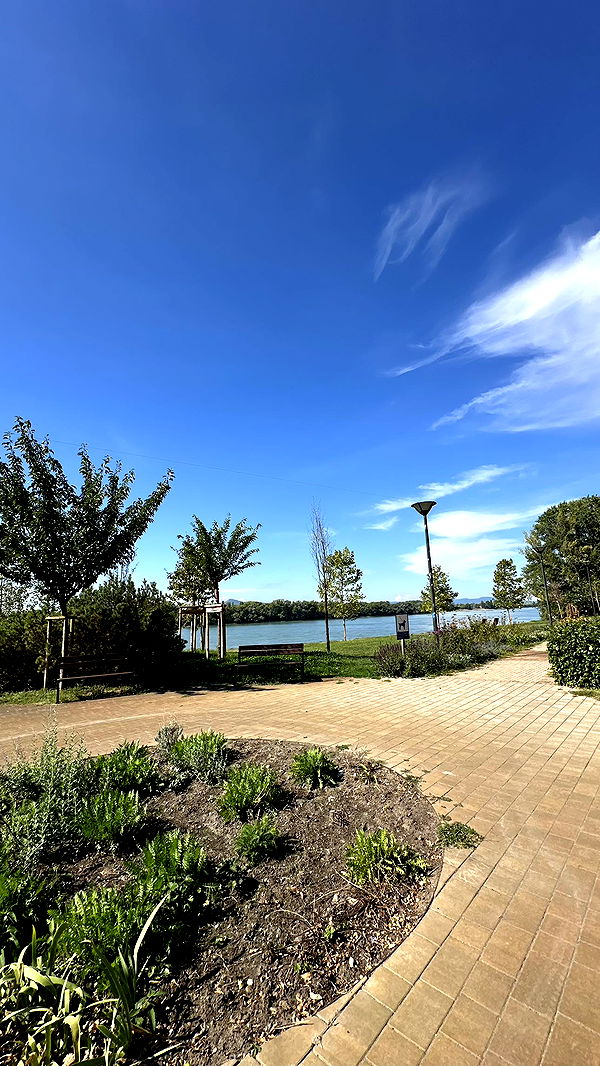 mira.0004 image ~ Altpins