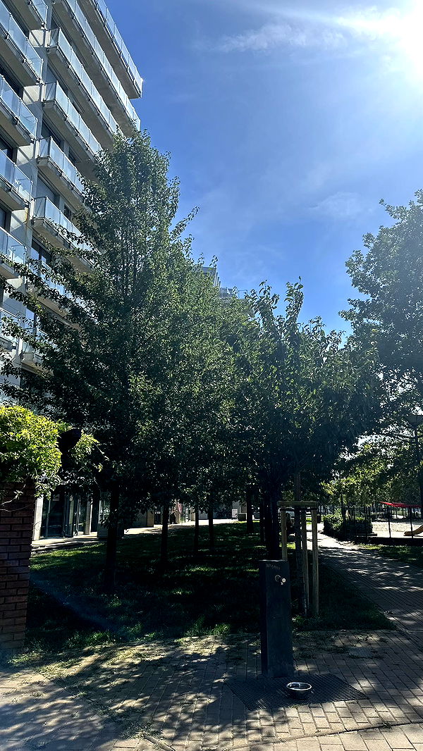 mira.0004 image ~ Altpins