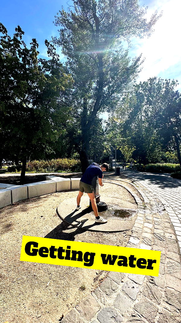 mira.0004 image ~ Altpins