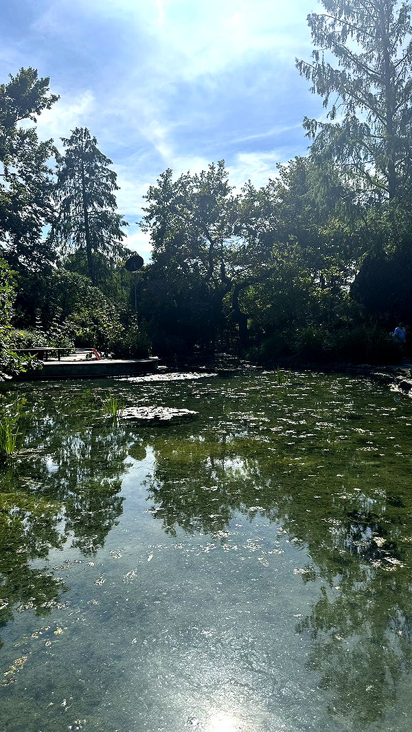 mira.0004 image ~ Altpins