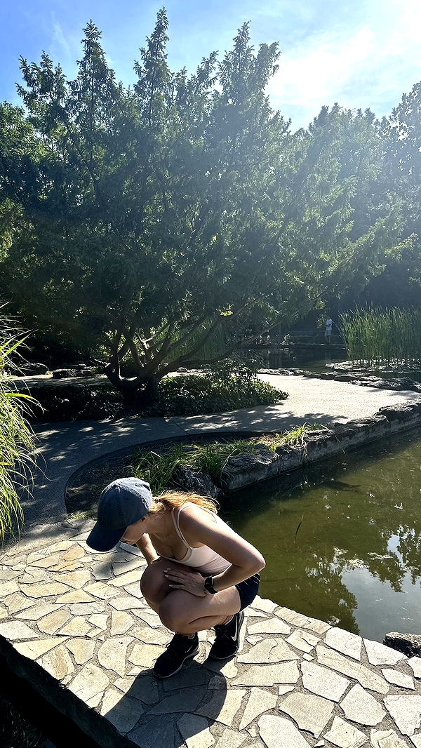 mira.0004 image ~ Altpins