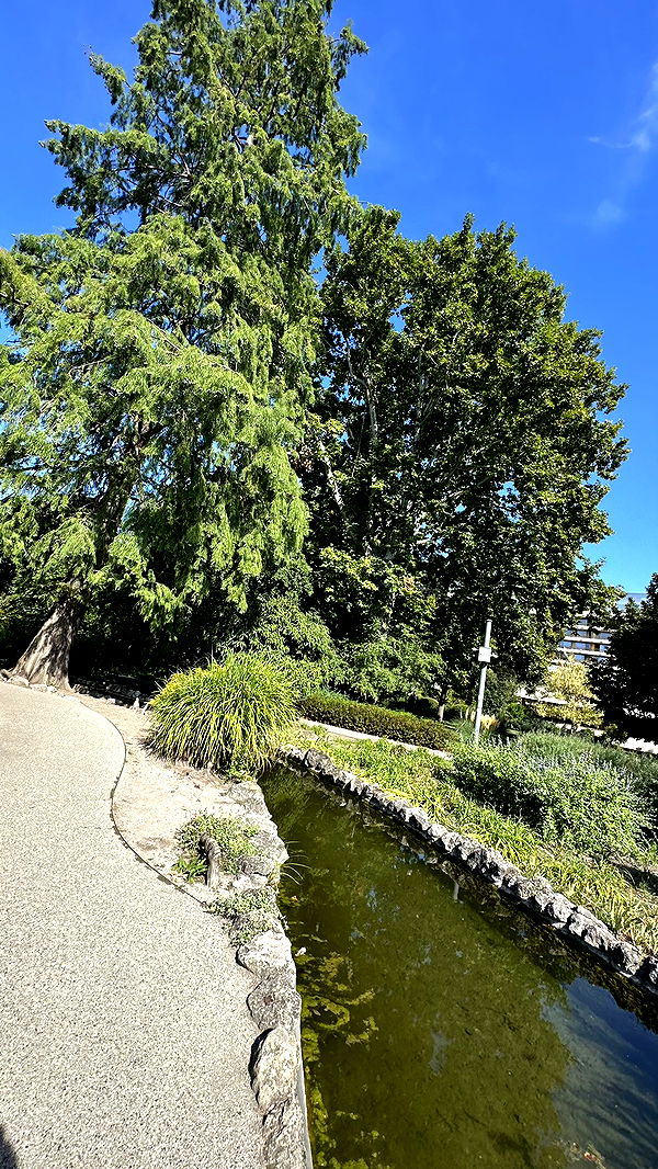 mira.0004 image ~ Altpins