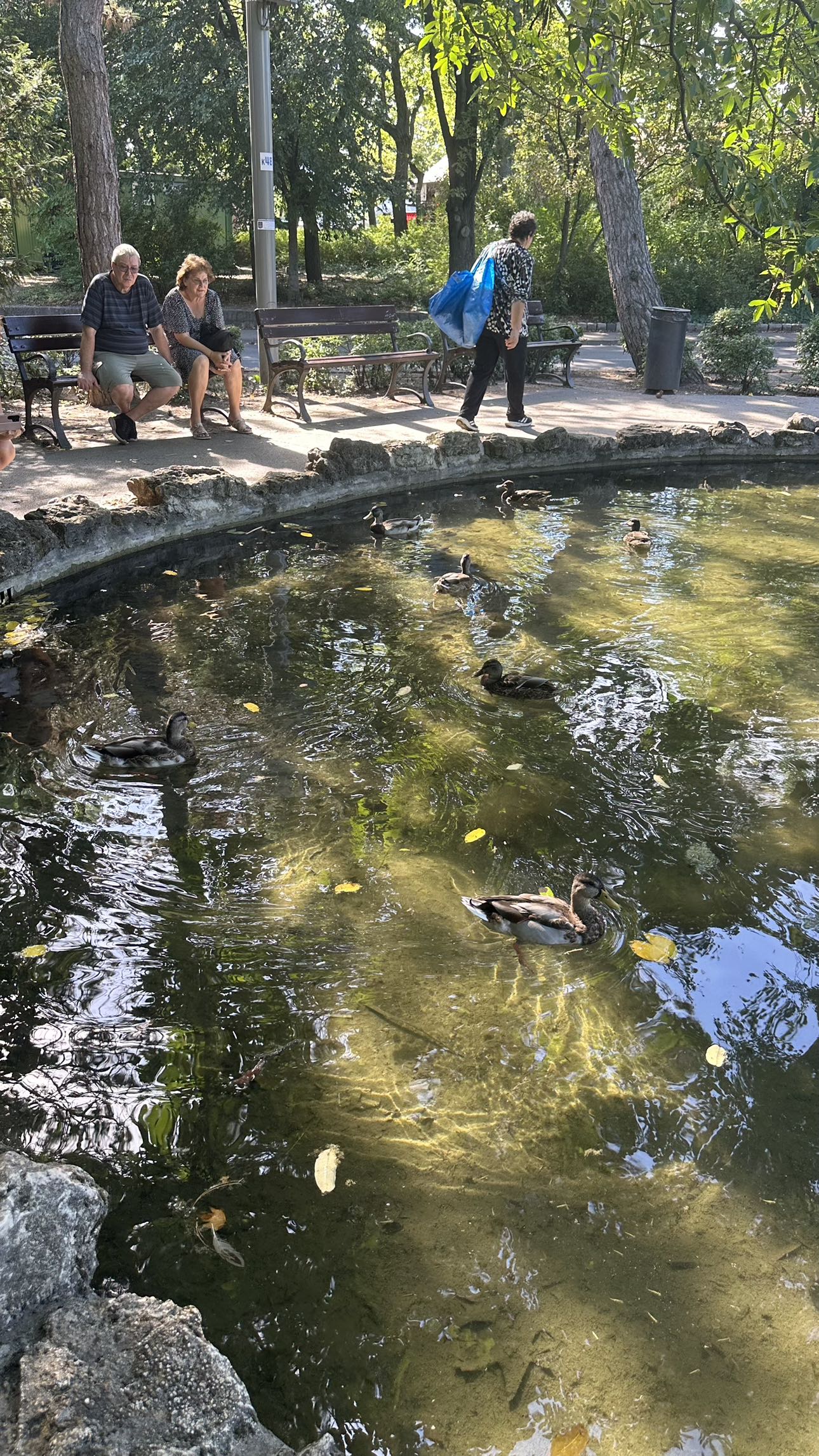 mira.0004 snapchat image archive image