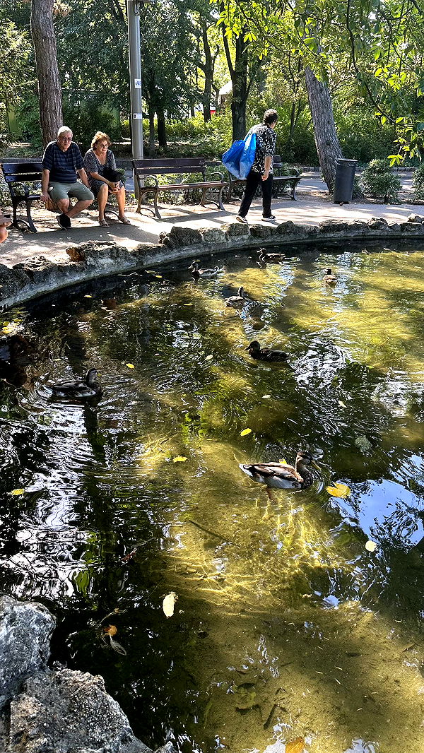 mira.0004 image ~ Altpins