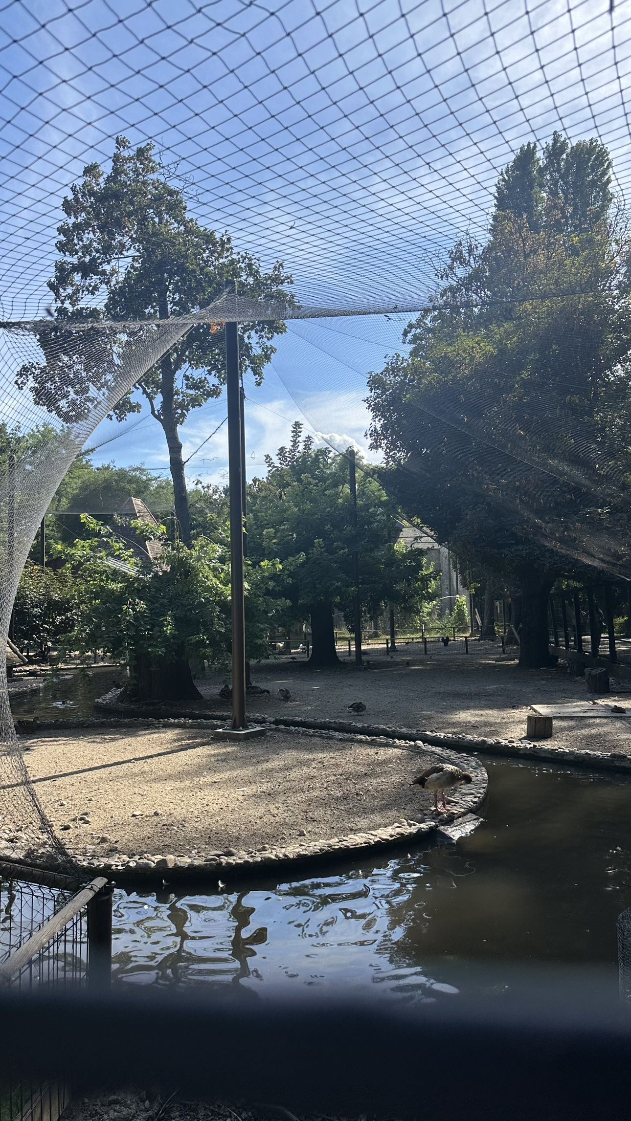 mira.0004 snapchat image archive image