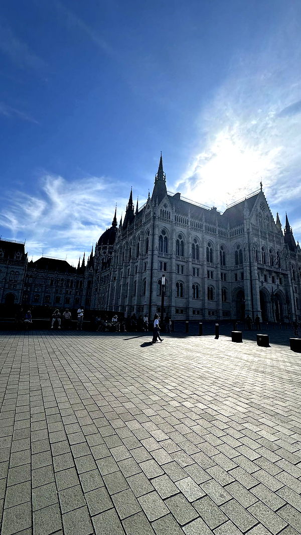 mira.0004 image ~ Altpins