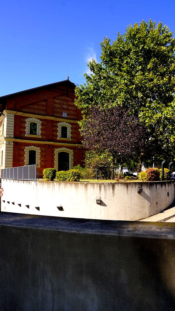 mira.0004 image ~ Altpins