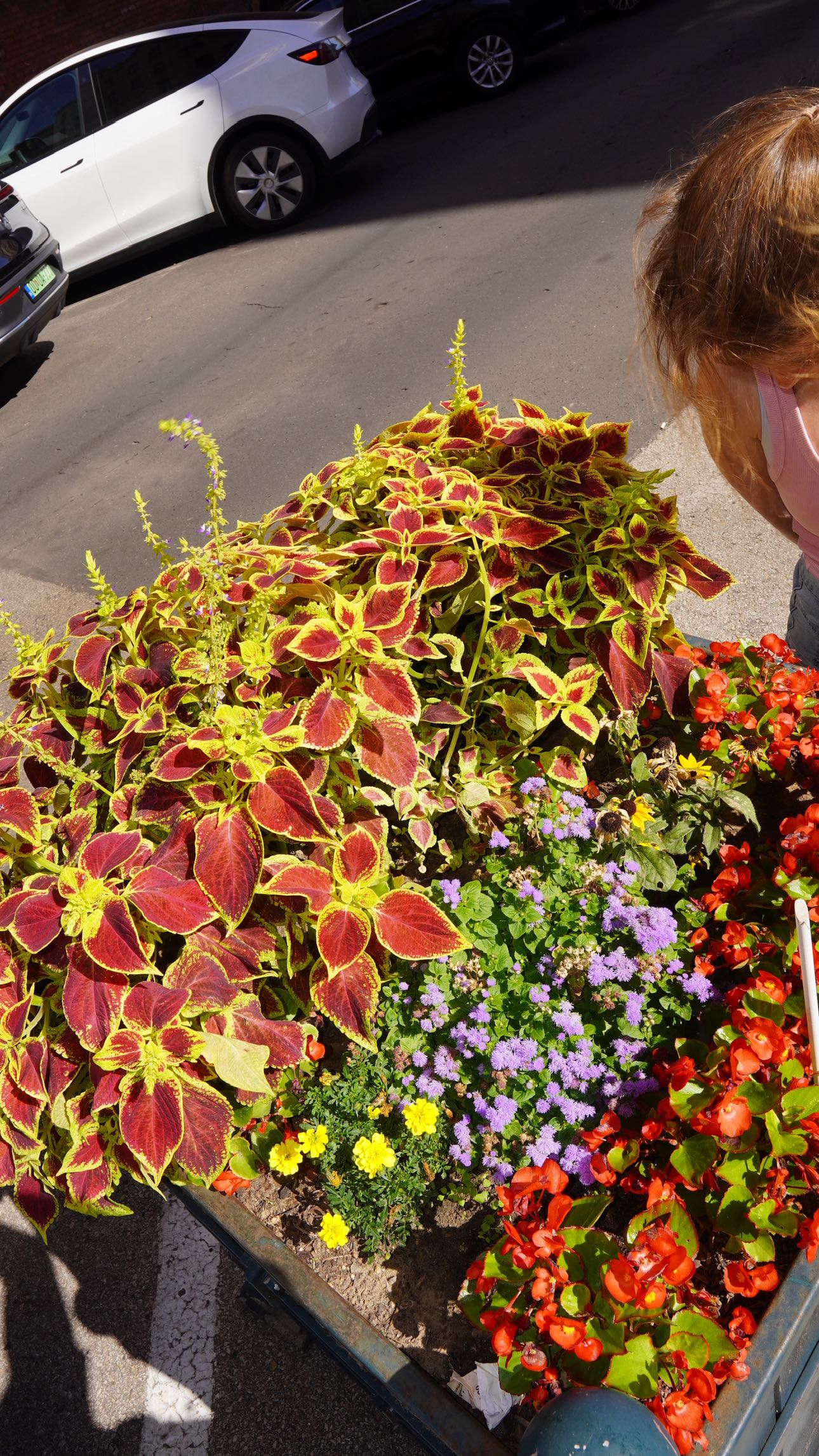 mira.0004 snapchat image archive image