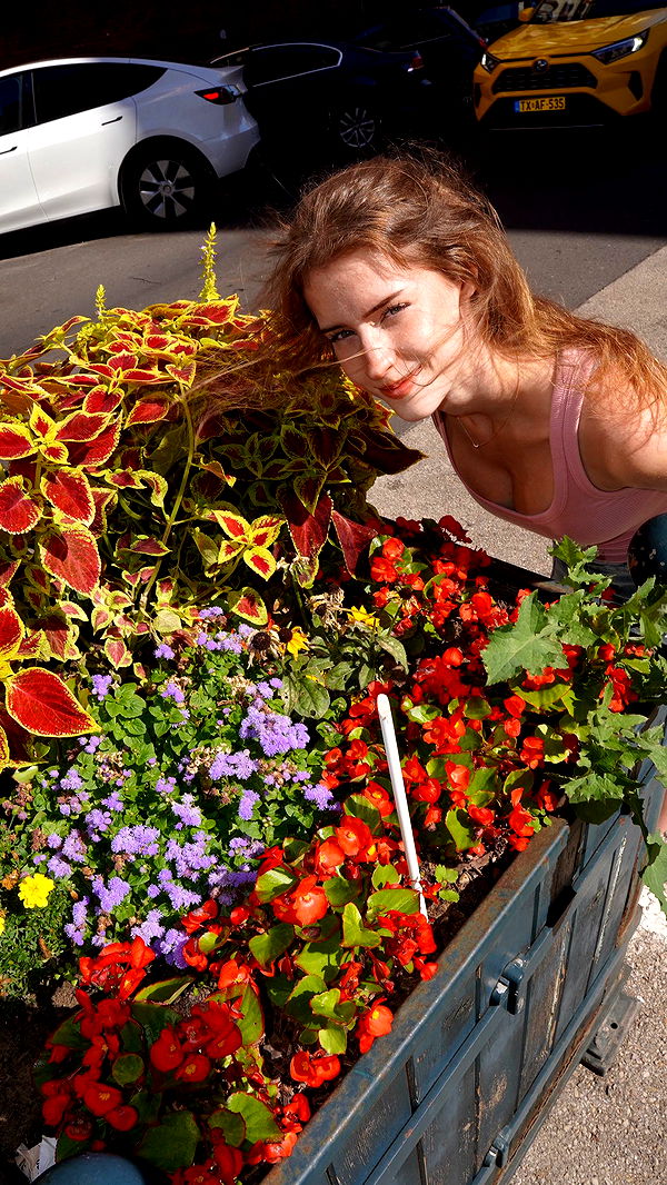 mira.0004 image ~ Altpins