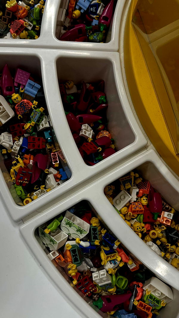 mira.0004 image ~ Altpins