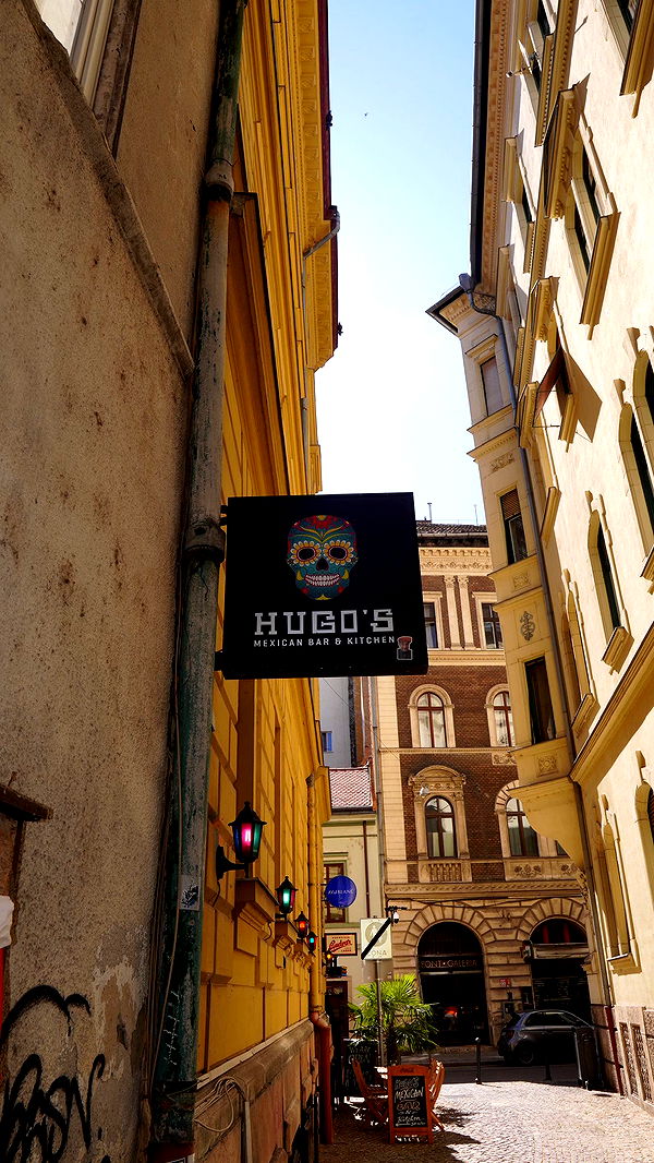 mira.0004 image ~ Altpins