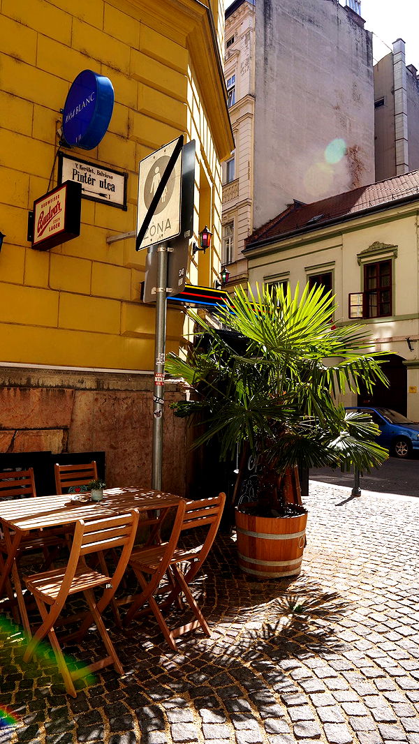 mira.0004 image ~ Altpins