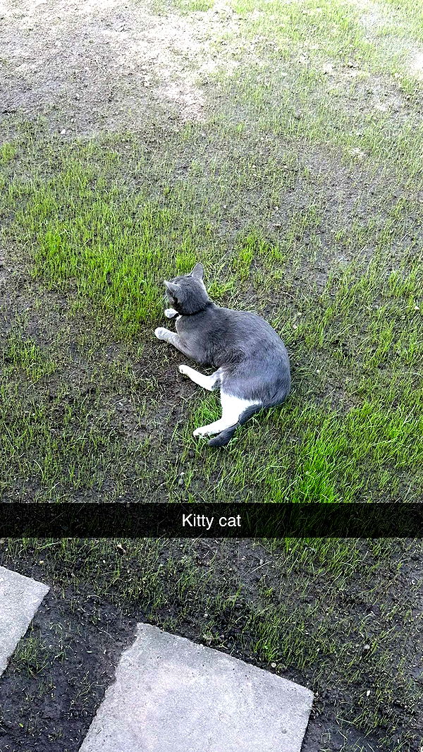 mira.0004 image ~ Altpins