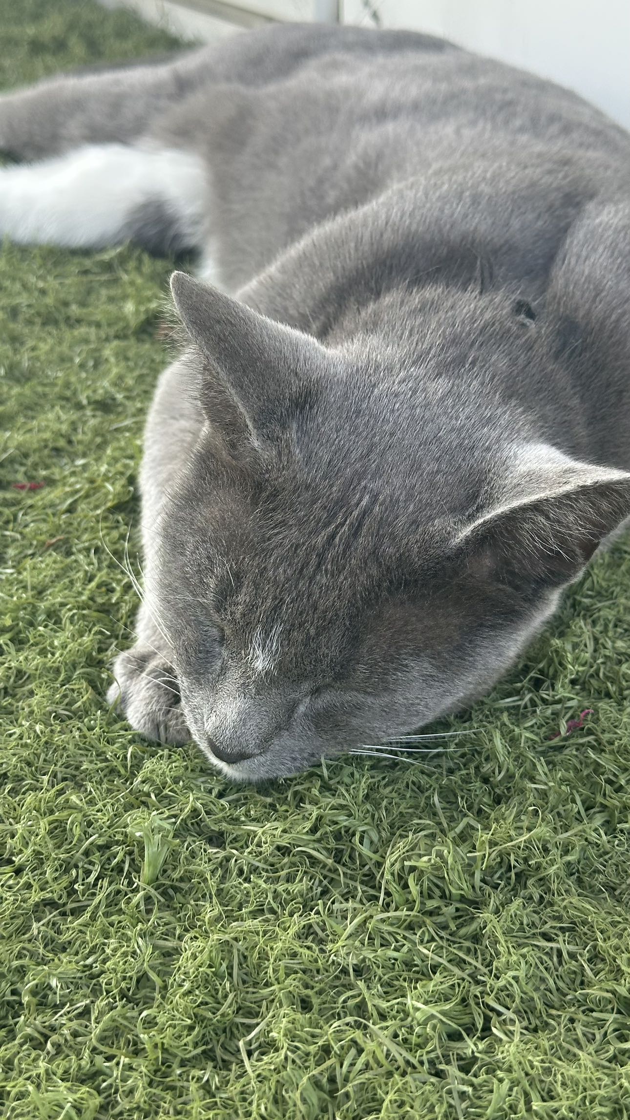 mira.0004 snapchat image archive image