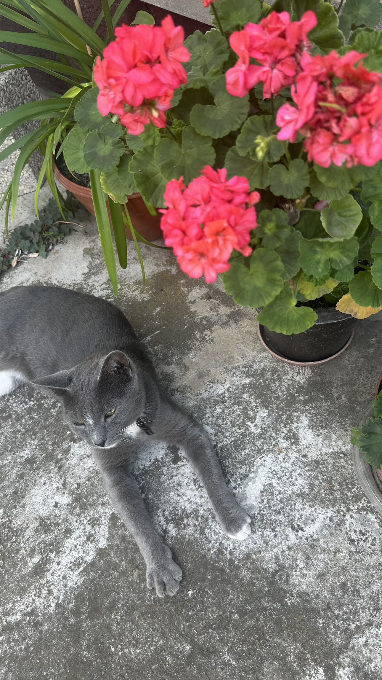 mira.0004 snapchat image archive image