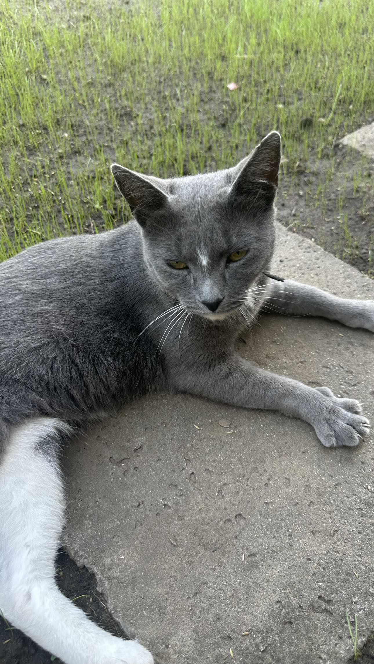 mira.0004 snapchat image archive image